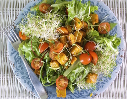 Raikas ja ravitseva lupiinitempe-salaatti