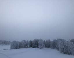 Suomen talvi on atoopikon helvetti