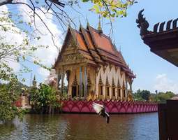 Koh Phangan, Thailand: the Ultimate Guide