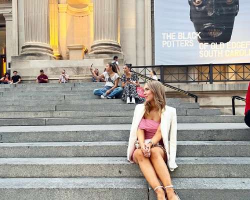 The met and other manhattan adventures