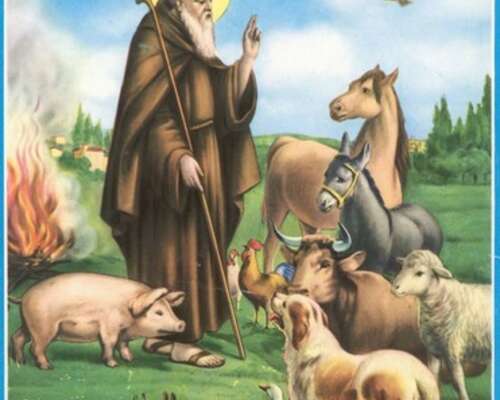Festa di sant’antonio abate; kotieläinten suo...