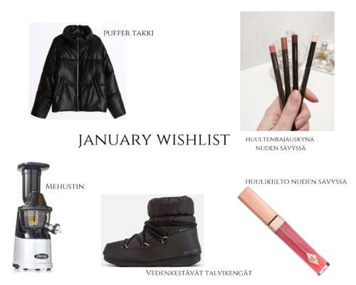January wishlist