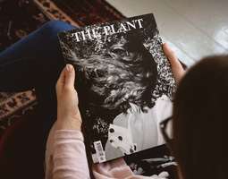 Postilaatikossa oli yllätys - The Plant