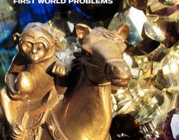 Ian Brown – First World Problems