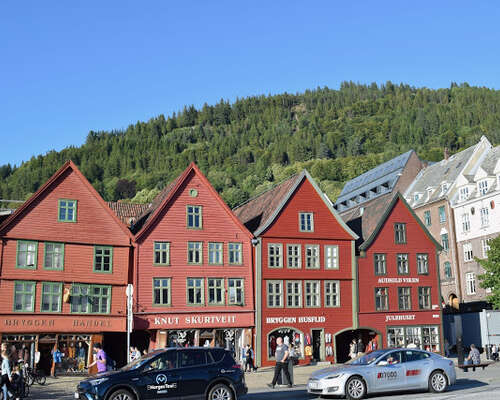 Autolla Norjaan Osa 3 – Söpö Bergen