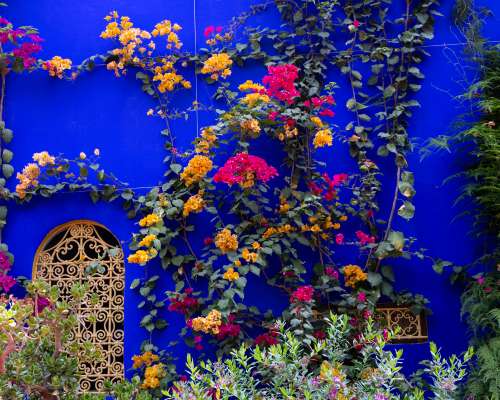 Kolmas päivä Marrakechissa – Jardin Majorelle...