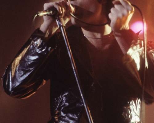 Freddie Mercuryn ja Jim Huttonin rakkaus kesti