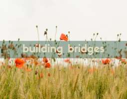 Building bridges between cultures: a positive...