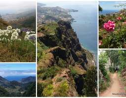 Monta syytä matkustaa Madeiralle