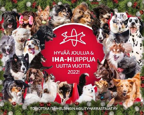 Hyvää Joulua ja IHA-Huippua uutta vuotta 2022!