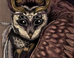 The owls are not what they seem