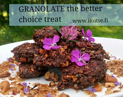 GRANOLATE (granola+ raw chocolate) - The Bett...
