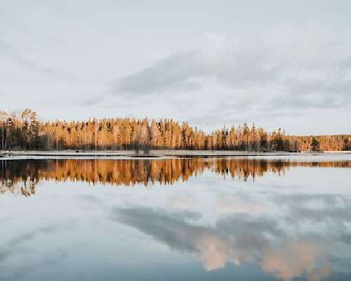 Liesjärven kansallispuisto – järvimaisemaa ja...