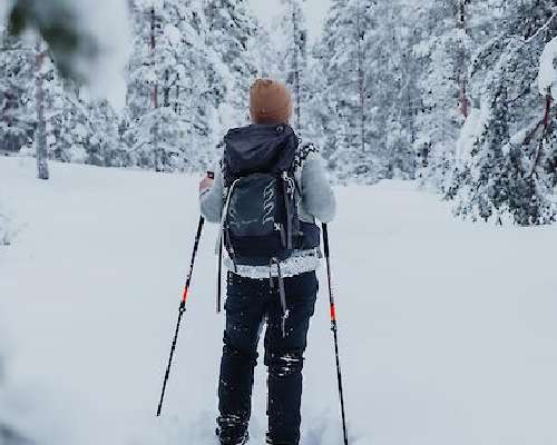 Sipoonkorven kansallispuisto talvella: Knuter...