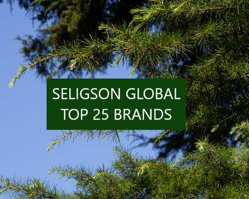 Seligsonin Global Top 25 Brands -rahasto tark...