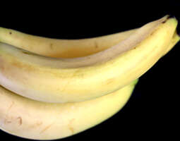 Banaanin terveyshyödyt (ja vinkit pakastamiseen)