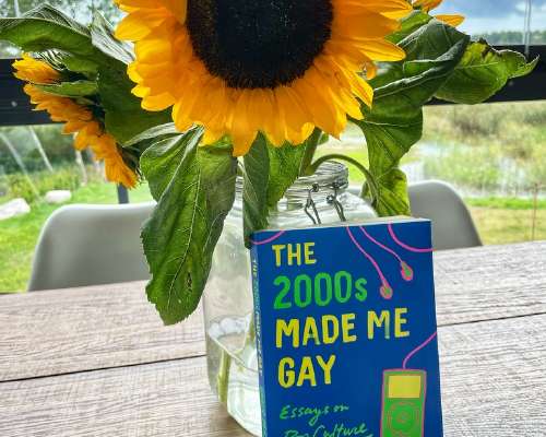 Book Recommendation: The 2000s Made Me Gay – ...