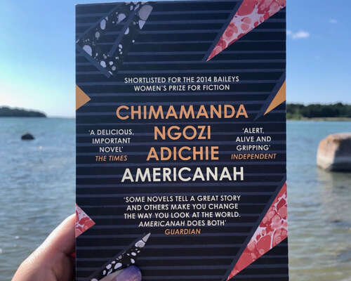 Book review: Americanah by Chimamanda Ngozi A...