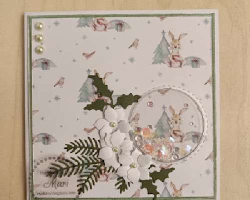 Valkoiset joulutähdet, kortit 114-115 / 2023