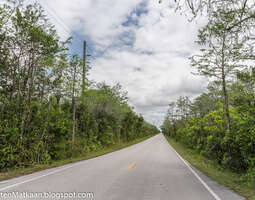Floridassa: Tamiami Trail Loop Road