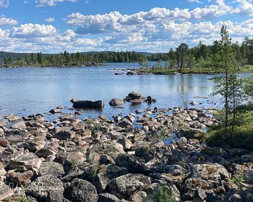 Kävellen halki Suomen 56: Ivalo-Inari
