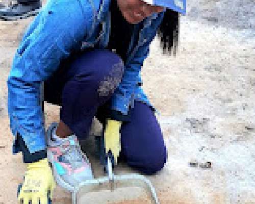 Amber, pottery and much more! Excavating a La...