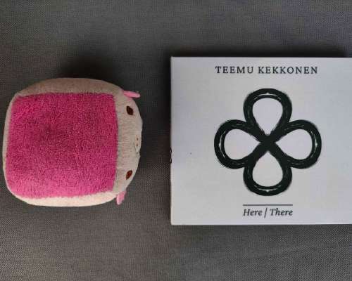 Teemu Kekkonen – Here/There