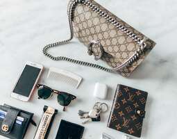 What’s in my bag – Gucci Dionysus