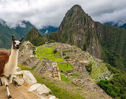 Häämatkahaaveilua, osa 5: Machu Picchu
