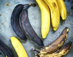 Parasta banaanista – banaanikakku valkosuklaalla