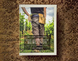 Pelottava(ko) Burgundy – Wines and vineyards ...