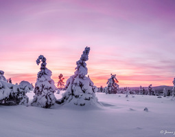 Kaamoksen kuvia - Photos of polar night