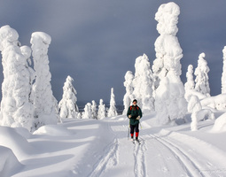 Pohjoisen lumilla - Skiing in Lapland