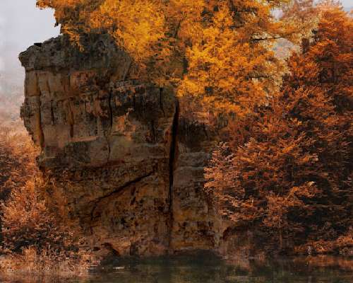 Autumn Trees - Lake - Rock