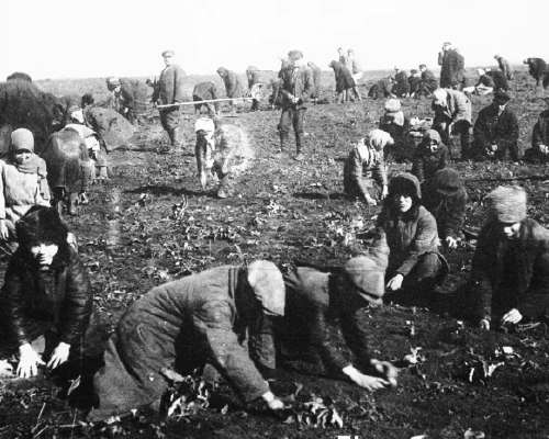 #Holodomor tunnustettu laajasti kansanmurhaks...