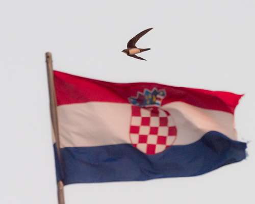 Kroatia 2022