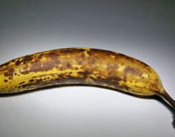 Banaanileipä / banaanikakku