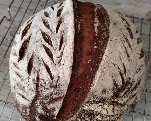 Leipää ”huijausjuurella” vai aidolla vehnäjuu...
