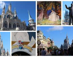 Disney World: Magic Kingdom
