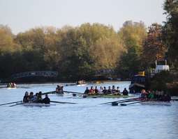 Oxfordin soutajat - Oxford Rowing / WATW