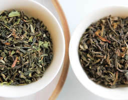 In the Mood for Tea: Darjeeling Singell 1st f...