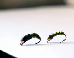 Catch Release and Barbless Hooks