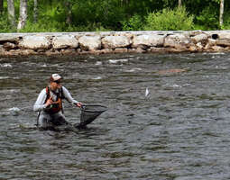 Fishing competition – Fly Fishing Championshi...