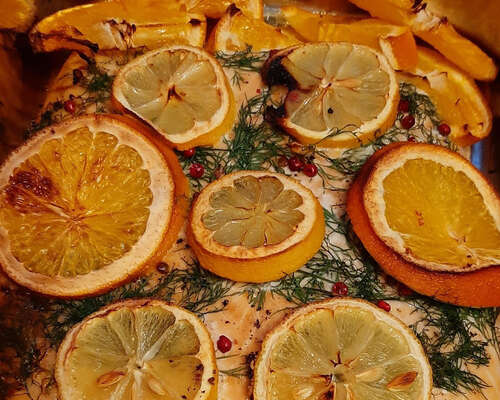 Appelsiinilohi