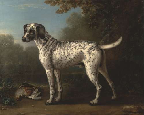 Koirat ja koiruus 1600-luvun Turussa