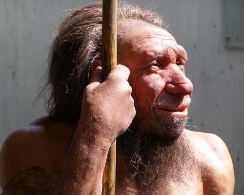 Lukijan kysymys: Kuinka tasaisesti neandertal...