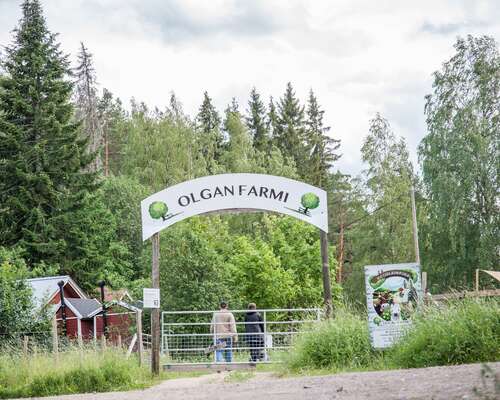 Olgan Farmilla