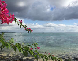 Paratiisisaari Mauritius