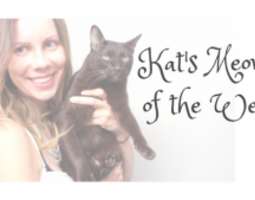 Kat’s Meows of the Week