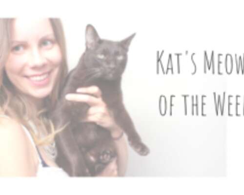 Kat’s Meows of the Week